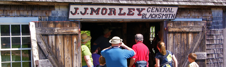 Ox Shoeing at Ross Farm