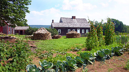 Ross-Farm-Museum-Rosebank-Cottage-Garden