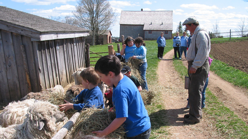 School Program Farm Animals