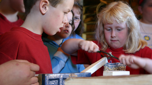 School Program Wood Working