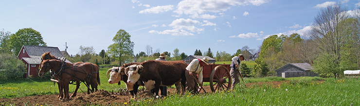 Working-Farm-Header-Image