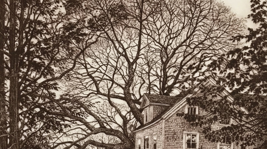 Anna Syperek. Old Friends-etching